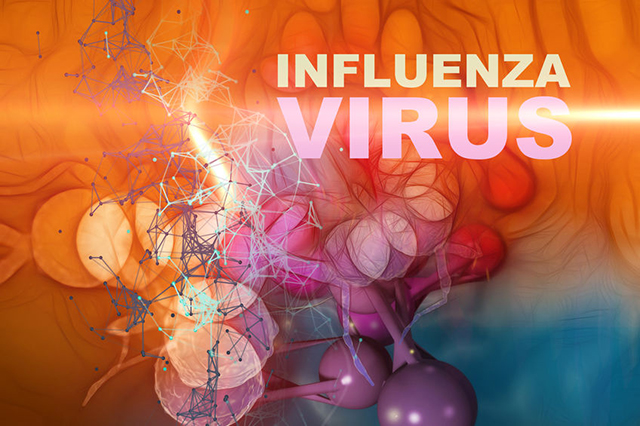 Vector image Influenza Virus