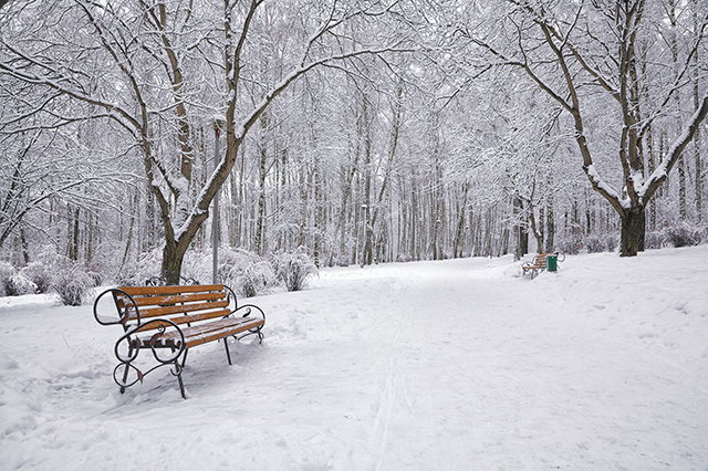 Winter scene with snow and a seat